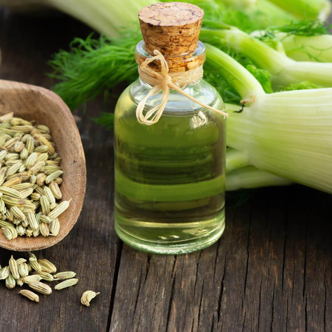 Here Are Some Technical Details About Fennel Hydrosol